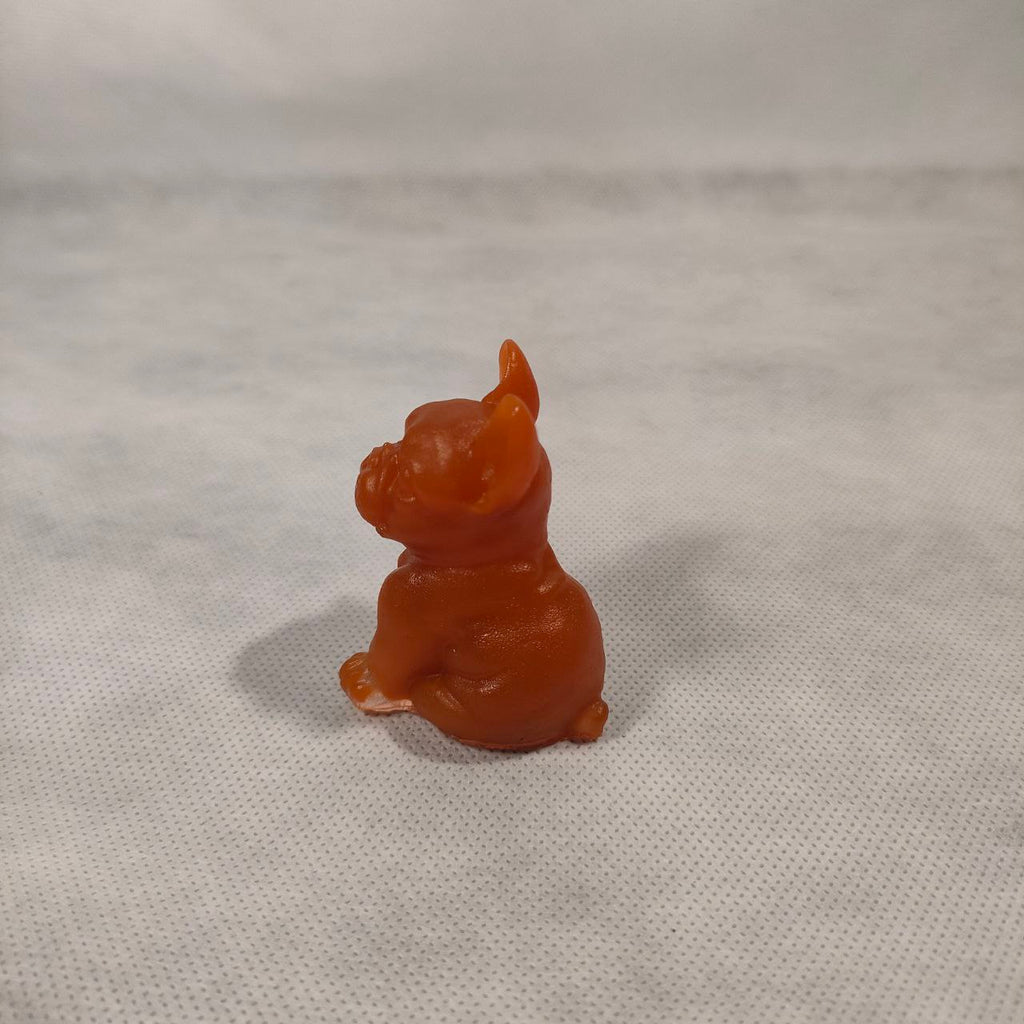 Animali - Cagnolino